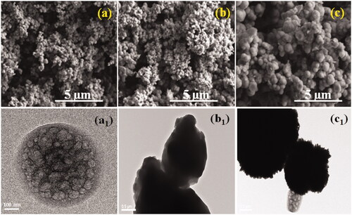Figure 3. SEM and TEM images were exhibited as MONPs (a, a1), MONPs@RV (b, b1), and GCS-MONPs@RV (c, c1) nanoparticles, respectively.
