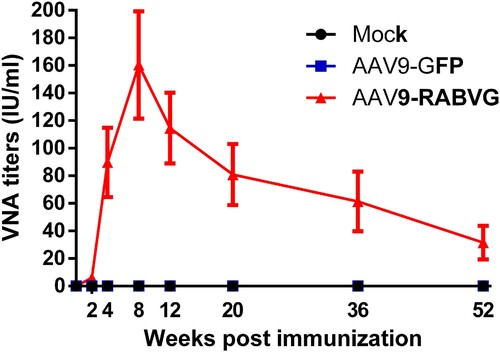 Figure 8. RABV specific neutralizing antibodies responses in Cynomolgus Macaques. Twelve 3-year-old female Cynomolgus Macaques were divided randomly into three groups, and were intragluteally injected with 1 ml of 1 × 1013 v.p. AAV9-RABVG or AAV9-GFP. The mock group was injected with 1 ml DMEM as control. The titres of RVNAs in serum (n = 4) were detected at 0, 2, 4, 8, 12, 24, 36, 52 weeks p.i., respectively.