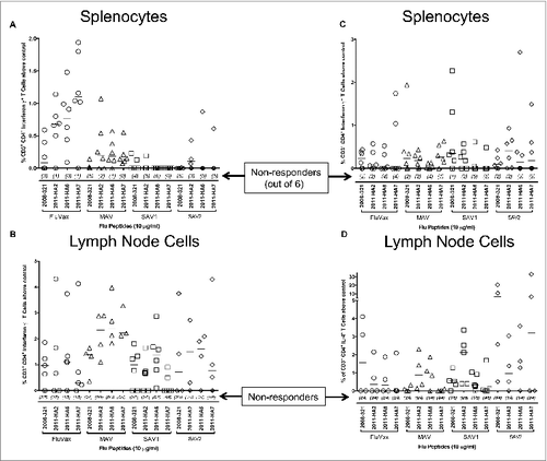 Figure 3. Flow cytometric analysis of splenocytes and lymphocytes from FluVax, SAV1 and SAV2 immunized mice. Splenocytes and lymphocytes were prepared as described in Materials and Methods and stimulated with the indicated flu peptides (10 μg/ml) or medium alone for 24 hours at 37°C. Brefeldin A was added 4 hours prior to harvest to inhibit protein transport. Cells were stained for CD3, CD4, CD8, IL-4 and interferon-γ fixed and analyzed on a BD LSR FortessaTM. The percent of CD3+CD4+IFN-γ+ cells above medium alone was determined and plotted as percent above control. (A) Splenocytes response, (B) lymph node cells response. The percent of CD3+CD4+IL-4+ cells above medium alone was determined and plotted as percent above control for (C) splenocytes response, (D) lymph node cells response. Numbers in parenthesis indicate non-responders.