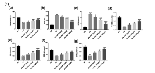 Figure 1. Impact of melatonin on HK-2 cell antioxidant capacity and viability. Cells in each group were treated for 12 h with 4 mmol/L Ox (except the NC group). Comparisons of (a) cell viability, (b) LDH content, (c) MDA content, (d) T-AOC content, (e) GSH content, (f) SOD content, and (g) CAT content. Data are presented as the means ± SEM from three independent experiments. *P < 0.05, **P < 0.01, ***P < 0.001,****P < 0.0001, versus the NC group; #P < 0.05, ##P < 0.01, ###P < 0.001, ####P < 0.0001, versus the Ox group