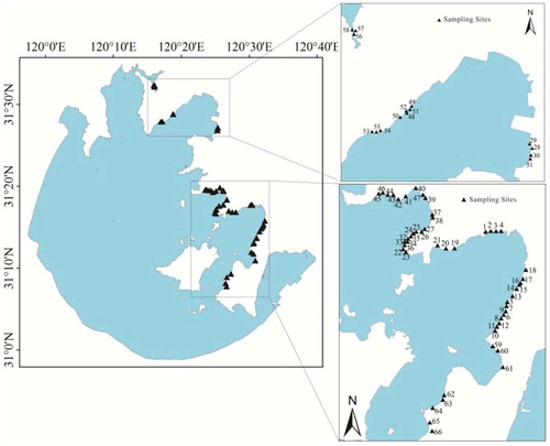 Figure 1. Sampling sites in the study area.