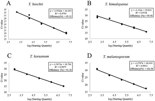 Figure 3. Standard curves of Tuber spp. (A) Tuber borchii; (B) Tuber himalayense; (C) Tuber koreanum; and (D) Tuber melanosporum.