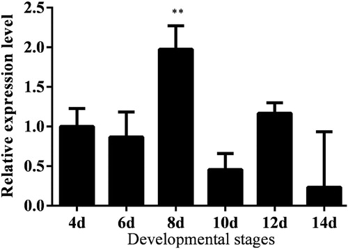 Figure 5. Expression analysis of the Lm-Fu gene at different developmental stages in the embryonic period of L. migratoria. Data are means ± SD of triplicate experiments. Asterisks indicate signicant differences compared to the control: *p < .05; ** p < .01.