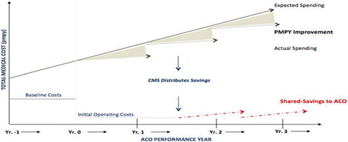 FIGURE 1. Shared Saving Programs.