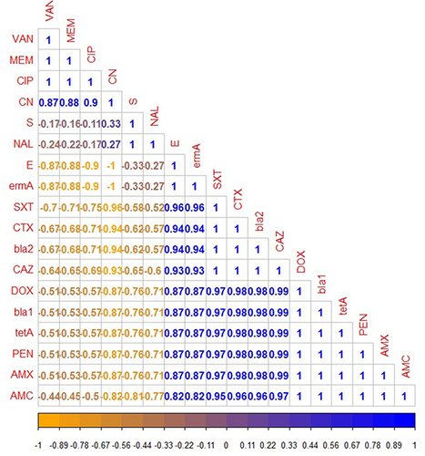 Figure 10 The heat-map illustrates the correlation coefficient (r) among the antibiotic resistance genes detected in the recovered B. cereus isolates and various tested antibiotics. The intensity of colors indicates the numerical value of the correlation coefficient (r), Orange, and blue color refers to the negative and positive correlations, respectively.