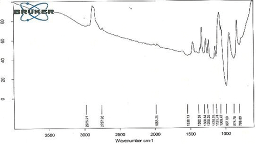 Figure 7. FTIR analysis of CS-TPP nanoparticles loaded with drug.