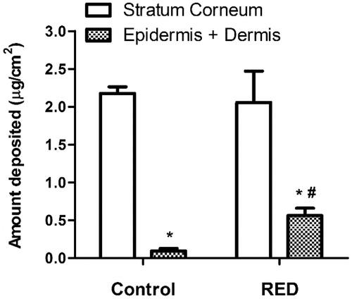 Figure 3. The amount of vitamin C deposited in the stratum corneum and epidermis/dermis of hairless mouse skin at 6 h after the application of vitamin C-soaked gauze dressing without the RED system (control) and vitamin C-loaded RED system (RED) on the mouse skin fixed in the diffusion cells. The rectangular bars and their error bars represent the means and standard deviations (n = 3–4). The asterisk (*) represents a value significantly different from that of the stratum corneum, and the pound sign (#) represents a value significantly different from that of the control group (p < .05).