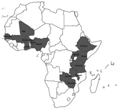 Figure 1. Focus countries of the study.