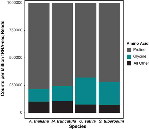 Figure 4. tRNA-seq read abundance is similarly dominated by only two isoacceptor families (tRNA-Pro and tRNA-Gly) in four angiosperm species