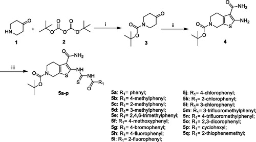 Scheme 1. General synthesis of compounds 5a–q. Reagents and conditions: (i) triethylamine, CH2Cl2, r.t., 16 h; (ii) S8, morpholine, EtOH, rt, 12 h; (iii) a. KSCN, Acyl chloride derivatives, acetonitrile, reflux, 6 h.