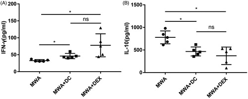Figure 6. Measurement of IFN- γ (A) and IL-10 (B) in plasma of mice by ELISA. Five mice were used in each group. *p<.05; NS: not significant.