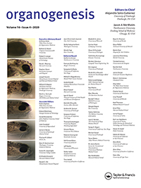 Cover image for Organogenesis, Volume 16, Issue 4, 2020