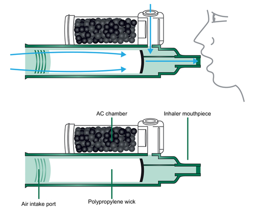 Figure 2 The Penthrox® inhaler.