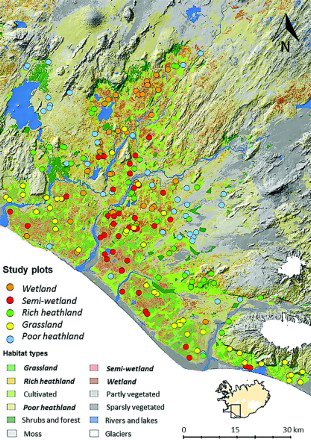 Figure 1. Map of South Iceland, including the study area, showing the position of study plots where bird abundance was surveyed. Sampling was restricted to areas below 200 m a.s.l.