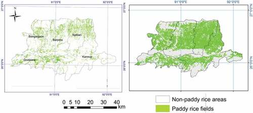 Figure 11. Paddy rice map of study area. Generated by the C4.5 using the spectral and phenological features in 2014–2015 at 30 m spatial resolution (left). Paddy rice map based on IRRI for 2000–2012 (right). Note that the time periods of the compared maps are different and the comparison is for a general examination of the paddy rice distribution