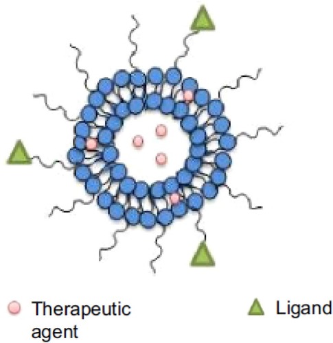 Figure 14 A schematic illustration of polymerosome.Notes: Adapted from Prabhu RH, Patravale VB, Joshi MD. Polymeric nanoparticles for targeted treatment in oncology: current insights. Int J Nanomed. 2015;10:1001-1018Citation84