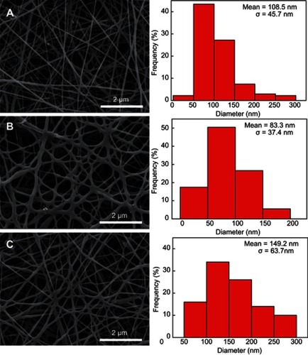 Figure 1 Characterization of nanofibers. (A) Scanning electron microscopy pictures and diameter distribution of (A) chitosan/polyvinyl alcohol (CP), (B) CP/MoS2, and (C) CP/MoS2/doxorubicin nanofibers. 