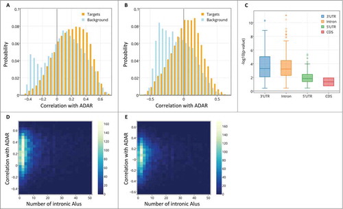 Figure 2. The distribution of spatial correlation values between ADAR and targets (orange) and between ADAR and a background set (light blue). The results are shown for (A) ABA-2013 dataset (B) Kang-2011 data set. The two distributions differ due to 2 groups of genes: a larger number of target genes have positive correlations with ADAR, and there also exist a group of genes that do not contain Alus, thus are not targeted by ADAR, but are strongly negatively correlated with ADAR. (C) Boxplot of the log-transformed p-values of a one-sided Wilcoxon test between ADAR correlations with targets vs. a background set of genes is plotted against the location of the Alu repeat pairs in the gene (note that Alu in the CDS or 5’ UTR is rare). P-values for the 2 datasets are pooled and shown together. Error bars encompass data within 1.5 times the inter-quartile range, and the boxes show the lower and upper quartiles together with the median. Outliers are represented as circles. Lack of differences in correlation between editing at the 3’ UTR and introns argues against global gene regulation by editing at the 3’ UTR. (D,E) 2D histograms of the correlation of genes with ADAR vs. the number of Alu repeats the genes contain. Positive correlation with ADAR increases with number of Alus. Points with more than 50 Alu repeats were ignored for easier visualization. The results are shown for (D) ABA-2013 data set (E) Kang-2011 dataset.