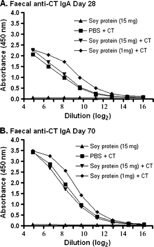 Figure 1.  Detection of IgA anti-CT antibodies in faecal material. Groups of mice were gavaged with 10 µg of CT in PBS (N=4), soybean seed extract containing 15 mg of total soluble protein in PBS (N=4), or soybean seed extract containing 15 mg (N=5) or 1 mg (N=6) of total soluble protein with CT in PBS on days 0, 14, 28, 42 and 56. Faecal IgA anti-CT antibody reactivity was determined by ELISA at day 28 (A) or day 70 (B) at the indicated serial dilution of faecal material. Results are presented as mean absorbance values for each group of animals. Standard deviations were always less than 5% of mean values.