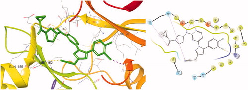 Figure 3. Docking structures of 8a at JNK3 (PDB: 3OY1) and 2 D-interaction map.