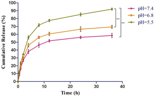 Figure 6 In vitro release of DOX from sHA-DOX/HA-GA mixed micelles.Notes: Release medium: 50 mL of PBS (pH 7.4, 6.8, and 5.5) containing 0.5% Tween 80; Release condition: 37°C, 100 rpm, under dark condition. **P<0.01. Abbreviations: HA, hyaluronic acid; sHA, sulfated hyaluronic acid; DOX, doxorubicin; GA, glycyrrhetinic acid.