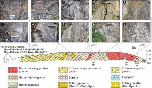 Figure 5. A representative geological section from the Liumao area (N45°13'4.06'', E130°46'5.36''). The typical macroscopic characteristics (a–i) of the studied samples are shown above the geological section.