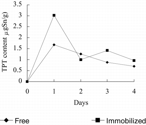 Figure 12. TPT Content of immobilized Spirulina subsalsa with alginate for removing TPT.
