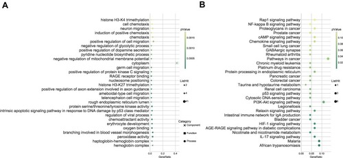 Figure 3 Kyoto encyclopedia of genes and genomes (KEGG) pathway and gene ontology (GO) enrichment analysis of differentially expressed lncRNAs and mRNAs. (A) Go enrichment analysis; (B) KEGG pathway.