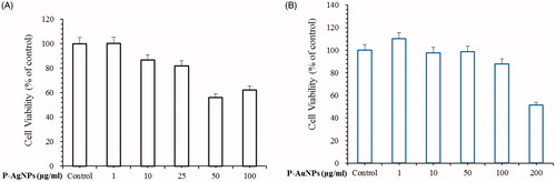 Figure 7. Effects of P-AgNPs (A) and P-AuNPs (B) on cell viability respectively. For cell viability assay, RAW264.7 cells were incubated for 24 h with various concentrations of P-AgNPs (1–100 μg/ml) and P-AuNPs (1–200 μg/ml).