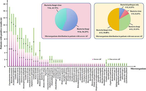 Figure 3 Comparison and overlap of isolated microorganisms between severe AP and non-severe AP. The column chart showed the numbers of microorganisms detected. A total of 123 and 90 strains of microorganisms were detected in 16 severe AP cases and 12 non-severe AP cases, respectively. The left pie chart showed the detailed proportions of microorganism distribution in severe AP patients, including bacteria-fungi co-detection (9/16, 56.25%) and bacteria-fungi-virus co-detection (7/16, 43.75%). The right pie chart showed the detailed proportions of microorganism distribution in non-severe AP patients, including bacterial pathogen only (1/12, 8.33%), bacteria-virus co-detection (1/12, 8.33%), bacteria-fungi co-detection (4/12, 33.33%), and bacteria-fungi-virus co-detection (6/12, 50.00%).