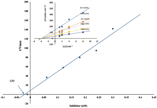 Figure 6. Determination of inhibition constant Ki with papain. Papain was used at a final concentration of 0.06 nM with increasing amount of inhibitor (0.06–0.30 nM) and measuring the residual activity using casein as substrate.