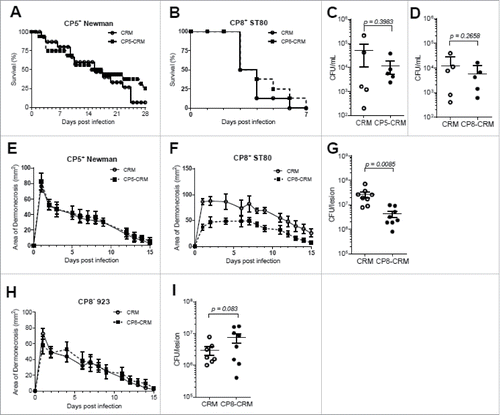 Figure 2. Evaluation of CP5-CRM and CP8-CRM as vaccines against S. aureus strains Newman and ST80 in the murine models of lethal sepsis and skin infection. BALB/c mice were immunized with 1 µg of CP5-CRM or CP8-CRM adsorbed to 100 µg aluminum phosphate adjuvant on days 0, 14, and 28. On day 42, mice were challenged in the bacteremia model with (A) Newman or (B) ST80 and in the dermonecrosis model with (E) Newman or (F) ST80 (n = 8 to 10 mice/group). In the lethal sepsis model, blood was collected at 24 hours post-infection and plated for CFU analysis (C-D) and mice were monitored for survival for 28 days. In the skin infection model, the area of dermonecrosis was photographed and measured for 15 days. (G) Bacterial burden on 7 days post-infection in the lesions of CP8-CRM or CRM immunized BALB/c mice challenged with ST80 in the skin infection model. (H) Immunized mice were challenged in the skin infection model with USA300 strain 923 (n = 8/group). (I) Bacterial burden on 7 days post-infection in the skin lesions of CP8-CRM or CRM immunized BALB/c mice challenged with USA300 strain 923. Data are presented as means ± standard errors and considered significant at a confidence level of 95%. For each experiment, the results of one representative experiment are presented; each was repeated at least twice.