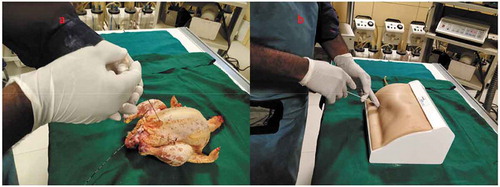 Figure 6. Surface view of puncture in: (a) Biological model and (b) Non-biological model.