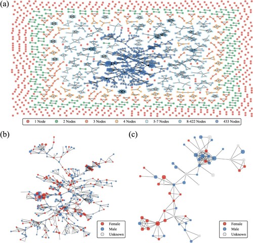 Figure 7 Subcomponents of the network of Population Studies authors, 1947–2020: (a) entire network; (b) giant component; and (c) second largest subcomponentNotes: Panel (a) shows the entire network of Population Studies authorships, coloured by the number of authors (nodes) in the subcomponent. Panel (b) shows the giant component, and panel (c) shows the second largest subcomponent of the network. Nodes in panels (b) and (c) are coloured by our composite gender metric and sized according to their degree centrality. Visualizations are conducted using the Neato algorithm (North Citation2004). Source: As for Figure 1.