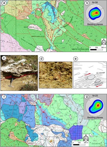 Figure 5. Tectonic structures exposed in the Sector 1. (A) Detail of the Torrente Melaggio tectonic window (refer to the Main Map for the legend); (B) Lower hemisphere equal area stereographic projections of poles to bedding planes at Torrente Melaggio. The third eigenvalue shows the orientation of the fold axis; (C) Outcrop photograph of the Monti della Maddalena thrust surface; (D) Detail and (E) Interpretation of the thrust shear zone showing S-C tectonites which provide a top-toward-NE sense of shear. (F) Detailed sketch map of the Cognone area (refer to the Main Map for the legend); (G) Lower hemisphere equal area stereographic projections of poles to bedding planes at Cognone Anticline. The third eigenvalue shows the orientation of the fold axis.
