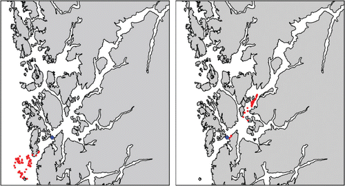 Figure 6. Distribution of 100 planktonic salmon lice (red dots) 48 h after the release (at the blue square) on 10 May 2007 (left panel) and 18 May 2007 (right panel).