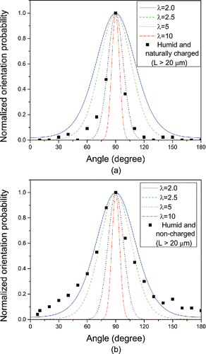 Figure 8. Normalized predicted and measured orientation probability in humid condition. (a) Naturally charged fibers > 20 µm and (b) non-charged fibers > 20 µm. Solid lines are for predicted values and square symbol is for measured one.