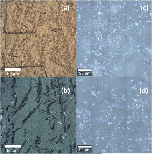 Figure 6. Optical images of the surfaces of polymer films after long-term ageing. (a) alphacypermethrin in the 1:1 m/m LDPE/HDPE film. LDPE films that contained (b) alphacypermethrin, (c) chlorfenapyr and (d) fipronil.