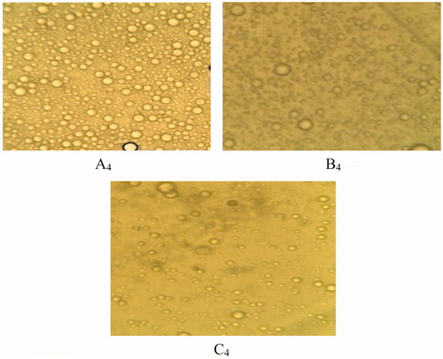 Figure 4. Photomicrographs (at day 1) of SLMs formulated with lipid matrices 1:19, 1:6 and 1:3 and containing 2.5 g of artesunate, A4, B4 and C4.