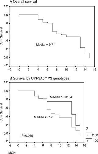 Figure 1.  Overall survival and survival according to CYP3A5 genotype.
