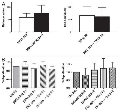 Figure 4 Accessibility of DNA to VP-16 and cisplatin following exposure to HDIs. (A) DNA damage detection by alkaline elution assay. H146 cells were treated simultaneously for 24 h with belinostat and VP-16, left part, or pretreated for 24 h with belinostat, followed by VP-16 for 2 h (sequential), right part. Error bars indicate SD from three or more biological replicas. (B) Detection of DNA platination. H146 cells were treated either with 100 µM cisplatin alone or in combination with 0.3 µM belinostat or 1 ng/mL romidepsin for 3 h or 24 h (left part) as indicated. Right part shows cells exposed to the same drugs with 16 µM of cisplatin for 24 h with or without belinostat or romidepsin for 24 h or 48 h. DNA platination was arbitrarily assigned to one for samples treated with cisplatin alone and data normalized to those values. Results are shown with SD from three independent experiments.