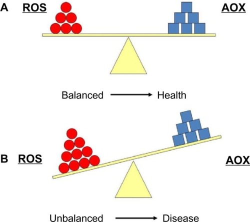 Figure 2 (A) Equilibrium between reactive oxygen species (ROS) production and antioxidant defense (AOX). (B) Imbalanced situation between ROS and AOX, which is associated with many pathologies.