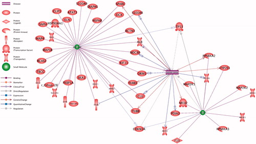 Figure 6. Crosstalk between ovarian cancer with silibinin and paclitaxel protein interactome. Combination of paclitaxel with silibinin targets more ovarian cancer associated genes.