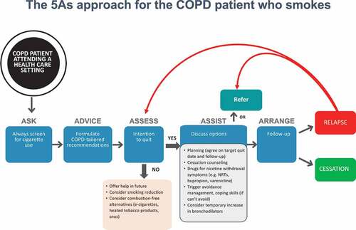 Figure 2. An algorithm for the management of the COPD patient who smoke. The approach has been adapted from that recommended by US Agency for Health Care Policy and Research (AHCPR) JAMA 2000; 283:3244–54.