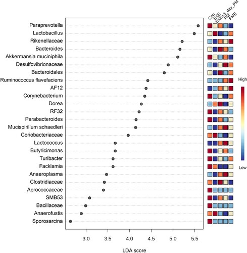 Figure 6. Differentially abundant taxa across intervention groups estimated using the LEfSe algorithm. The bacterial taxa illustrated an LDA > 2 and a significance threshold of 0.05.