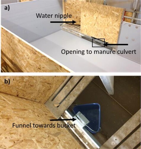 Figure 1. The picture shows the layout of the manure collection pen and the (a) location of the water nipple and the opening towards the manure culvert and (b) the bucket placed in the manure culvert. The wooden walls prevent water from splashing into the bucket in the manure culvert.