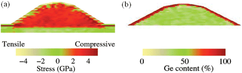 Figure 5. (a) Stress and (b) composition profile of a dome island before and after alloying respectively (adapted from Citation60). Reprinted with permission from G. Hadjisavvas, P.C. Kelires, Phys. Rev. B, 72, 75334 (2005). Copyright 2005 by the American Physical Society.