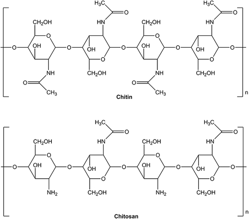 Figure 1 The chemical structure of chitin and chitosan.