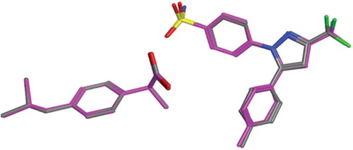 FIGURE 1 Overlay of the best scoring pose (left) for ibuprofen (A) and celecoxib (B) on their experimental crystal structures (right).
