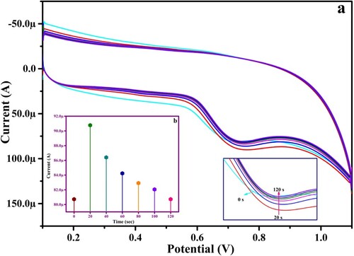 Figure 8. (a) CV output of PYX (1.0 mM in PBS of pH 6.0) at PGMGCPS at varied time intervals (b) plot of anodic peak current versus accumulation time.